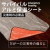Thujopsis Disaster Prevention Sheet, Алюминиевое одеяло, Термолист, Алюминиевый лист, Изоляционный коврик, Аварийная ситуация, Защита от холода, Предотвращение стихийных бедствий