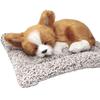 TATOTTE Stuffed Realistic Cute Sleeping Activated Charcoal Soothing Interior Dog, Figurine, Dog, Included, (Chihuahua BR)