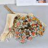 Mini Berries Raspberry Artificial Flowers Autumn Colors Faux Berry Branches  Home Decoation