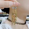 Cat's Eye Tassel Ear Chain 2024 Trend: Elegant Long Earrings with Light Luxury Design