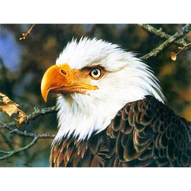 Новый 5D DIY алмазная живопись голова орла Алмазная вышивка животных вышивка крестиком полная круглая дрель домашний декор ручной художественный подарок