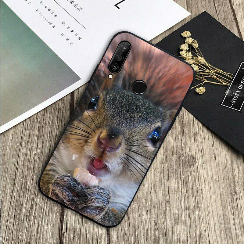 Squirrel Cute Animals For Huawei Nova 5T 9 10 SE 7i 8i 11i 12i Y73 Y90 Y70 Y72 Y61 Y91 P60 Pro P40 P30 Lite Case