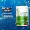 EVLution Nutrition, Stacked Plant Protein, Natural Chocolate, 300g (0.66lb)