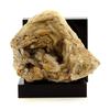 Baryte - A BIJOUX - 1080.1 Ct - Multicoloured - Saint-Georges-les-Bains - Certificate of Authenticity