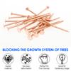 15/20 Pcs Copper Nail for Killing Trees Stumps Root Stump Removal Spikes Hardware Copper Nail Trees Tool Accessories