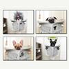 Funny Dog Reading Newspaper Cavans Painting Animal Toilet Posters and Prints Wall Art Picture for Bathroom Home Decor Cuadros
