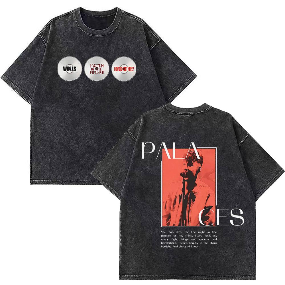 Louis Tomlinson Lemonade A Little Taste Is All You Need New Album Print T Shirt Unisex Women Fashion Vintage Washed Loose Tee