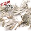 GOLD STONE White Sage Cluster with Branches, Unsorted, 50g, Pesticide-Free, California White Sage