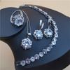 Fashion Bridal Costume Jewelry Set Ladies Accessories  Earrings Necklace Bracelet Ring Set
