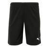 Puma M Шорты PuMa Zqc 705386 04 PuMa teamM Rise Short Asia Sp