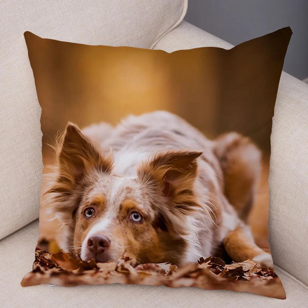 Soft Plush Cute Pet Animal Cushion Cover Scotland Border Collie Pillowcase for Sofa Car Decor Dog Printed Pillow Case