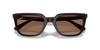 Солнцезащитные очки 0RB4439D OPAL BROWN 54 [Ray-Ban]