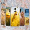 Чехол для телефона из спелой пшеницы для Huawei Mate 40 30 20 20X 10 RS P Smart 2021 2020 ZS Pro Plus Lite 2019