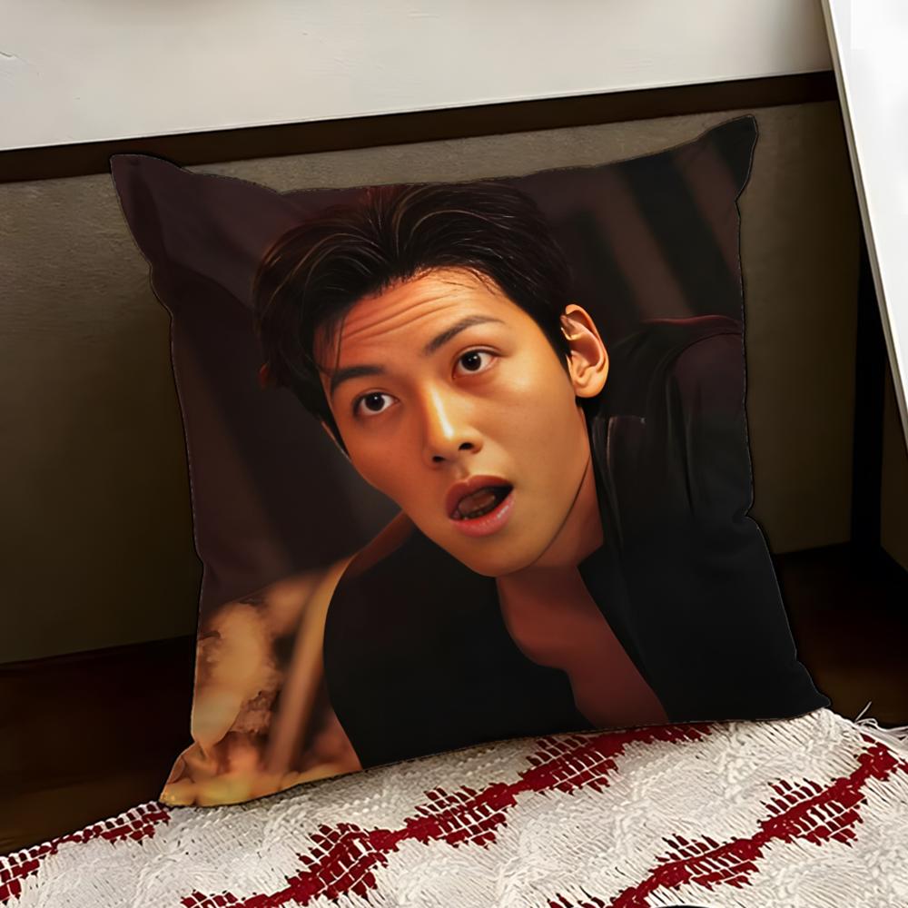 Ji CChang WWook Чехол для кушона Двусторонний Мягкий Прочный Чехол для подушки Дом Автомобиль Многоцелевое Использование для Ежедневного Комфорта