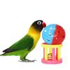 Resistant Sound Interactive Hollow Bird Foot Toy Pet Ball Toy Rolling Bell Ball Parrot Chewing Toy