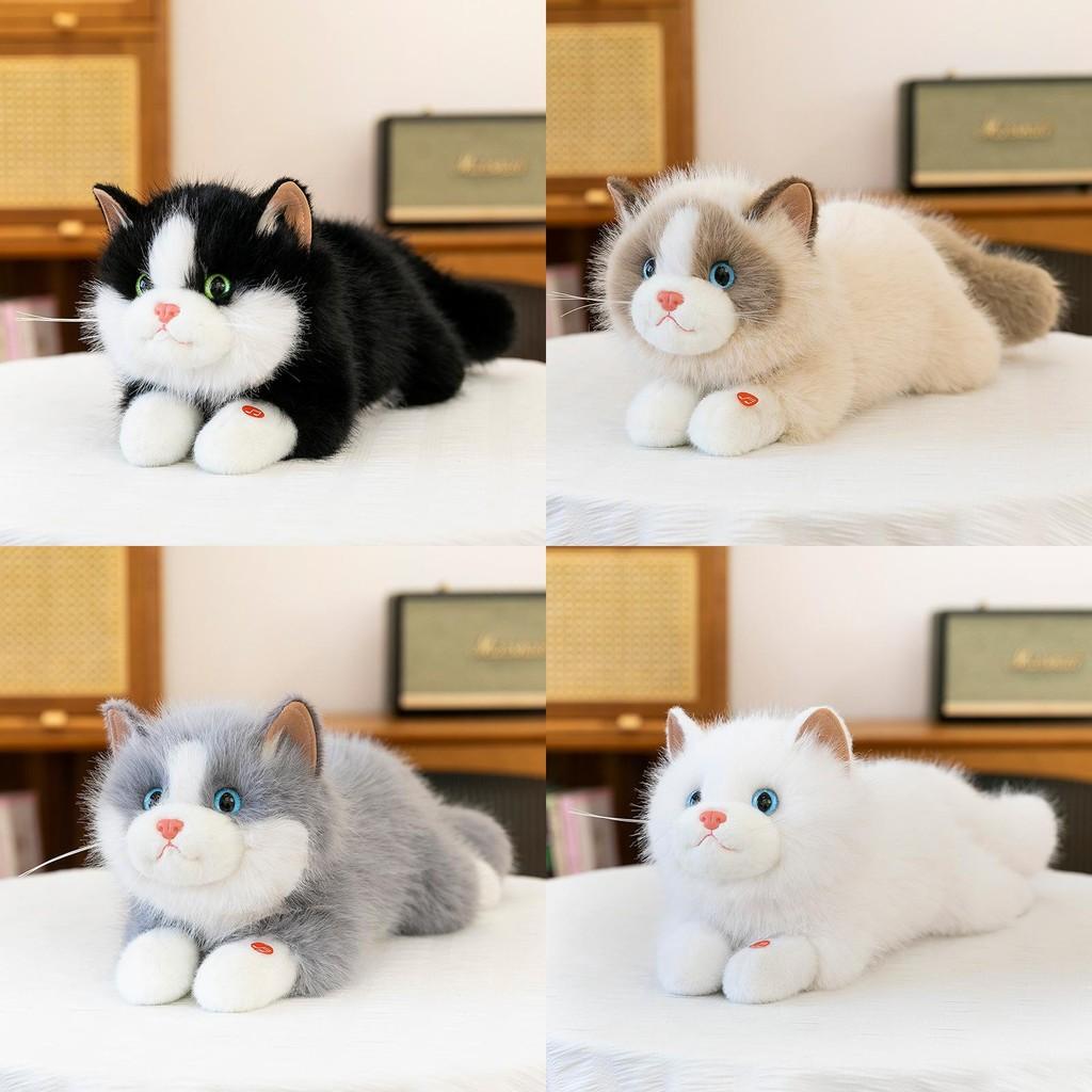 Cute Cat Plush Doll With Sound Function For Children And Gift Giving