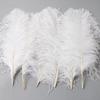 10PCS 45-50cm Colorful Big Feathers Ostrich Table Flower Table Flower Wedding Decoration Ostrich Feathers