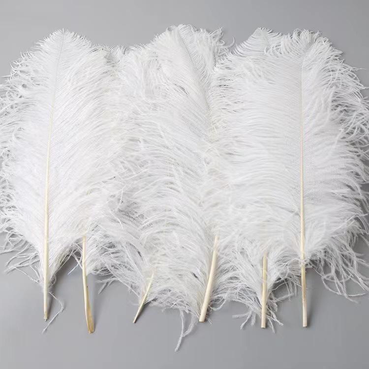10PCS 45-50cm Colorful Big Feathers Ostrich Table Flower Table Flower Wedding Decoration Ostrich Feathers