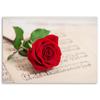 Canvas print, Rose on sheet music