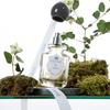 LOiViE Thyme & Moss EDP 50ml