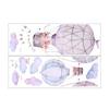 Bedroom Background Nursery Wall Decals Cloud Sticker Animal Wallpaper Hot-air Balloon Sticker