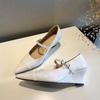 Fashion Women's Slope Heel Single Shoes Autumn New Pointed Head Shallow Mouth Word with Anti-slip Wear-resistant Mary Jane Shoes