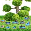 10 Pcs Fairy Garden Miniature Pond Ornaments Accessories Resin Miniature Pond