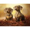 Полный 5D Diy Алмазная картина Все виды собак Алмазная вышивка Наборы крестиков Домашний декор Подарок ручной работы