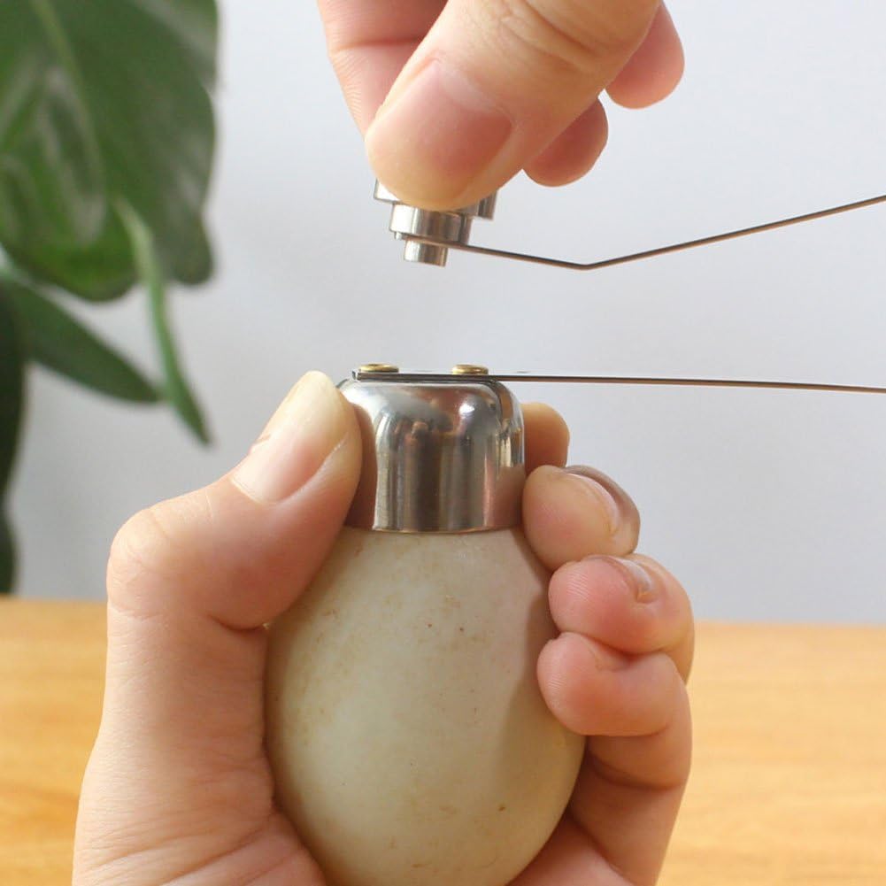 Fdit Резак-топпер для яиц с открывалкой-резаком для скорлупы из нержавеющей стали, чистое открывание, крекер, кухонный инструмент для снятия скорлупы с сырых, мягких или твердых вареных яиц