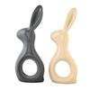 Adorable Resin Home Decor Rabbit Pair (Pack of 2, Grey & Off White)