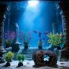 Набор Цветных Кораллов и Водных Растений Симуляция Кораллов Украшения для Аквариумов для Натуралистичных Аквариумов