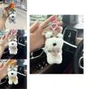 Cute Schnauzer Plush Toy Adorable Dog Keychain Soft Backpack Hanging Charm