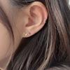 youngglow 14k butterfly piercing (2type)