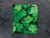 GLASS CUTTING BOARD 45x52 Leaf