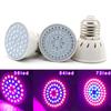 220V Hydroponic Growth Light E27 Led Grow Bulb Phyto For Indoor Greenhouse Vegetable Flower Plant Hydroponic Growing Lamp