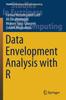 Книга Data Envelopment Analysis with R : 386