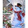 5D DIY Алмазная картина "Снеговик птица" Вышивка крестиком 3D Домашний декор
