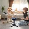Removable Dog Food Bowl Stand Adjustable Height Angle Liftable Pet Dispenser  Water