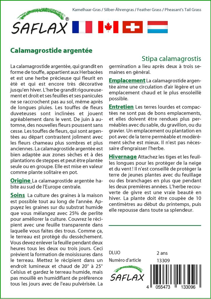 SAFLAX Ковыль / Трава фазаньего хвоста - 50 семян - Stipa Calamagrostis