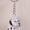 Cute Transparent Dog Hair Storage Cute Pendant Keychain Bag Pendant Couple Car Key Chains Jewelry Souvenir Collection Gift