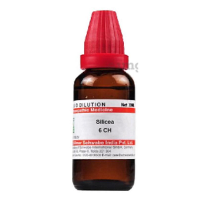 @Dr Willmar Schwabe India Silicea Dilution 6 CH 30ml UK67 50%OFF