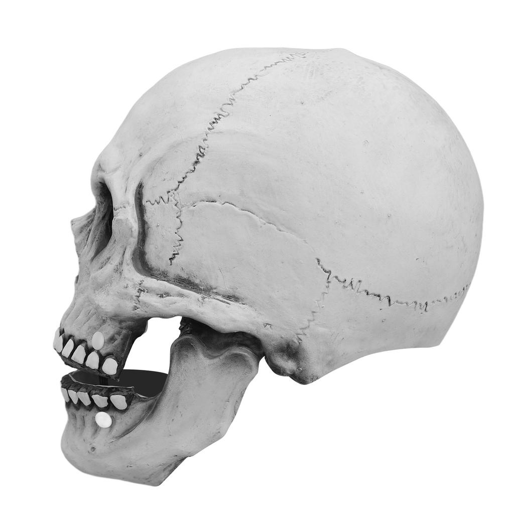 Маска Черепа Хэллоуин Стиль Черепа Дышащая Прочная Латексная Подвижная Челюсть Маска Скелета для Вечеринки Костюма Бала