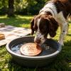 Диск из чистой меди для очистки миски с водой для собаки, Диаметр 4 дюйма, Поднятый фонтан с 3-точечной опорой, Дозатор, Прочный
