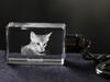 Savannah - Crystal pendant with cat photo, illuminated pendant, unique gift by Art-Dog brand