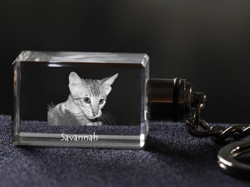 Savannah - Crystal pendant with cat photo, illuminated pendant, unique gift by Art-Dog brand