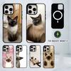 S-Сиамская кошка Милый чехол для телефона для iPhone 17, 16, 15, 14, 13, 12, 11 Plus, Pro Магнитный с беспроводной зарядкой MagSafe