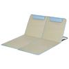 Set of 2 Beach Mats, Adjustable, Foldable, 124L x 53W x 37-50H cm, Beige