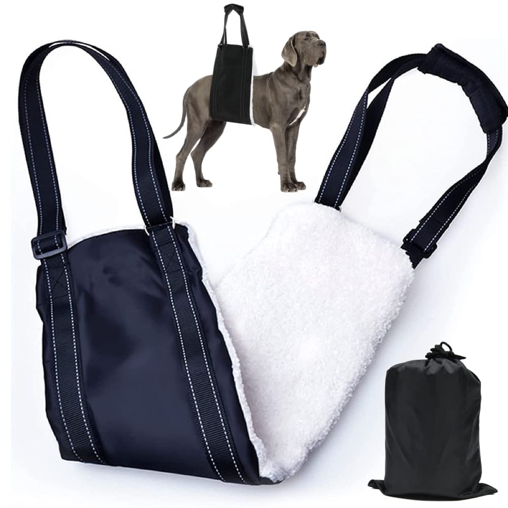 Ailunate Dog Walking Assistance Harness, Hind Leg Support Belt for Care and Assistance, for Senior Dogs and Pets (Size M)