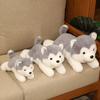 30/40/50CM Cute Husky Dog Plush Toy Stuffed Animal Soft Kawaii Lying Brown Gray Puppy Pillow Doll Toys for Birthday Xmas Gift
