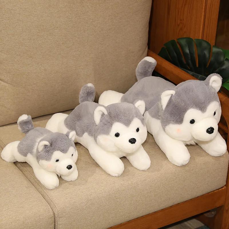 30/40/50CM Cute Husky Dog Plush Toy Stuffed Animal Soft Kawaii Lying Brown Gray Puppy Pillow Doll Toys for Birthday Xmas Gift